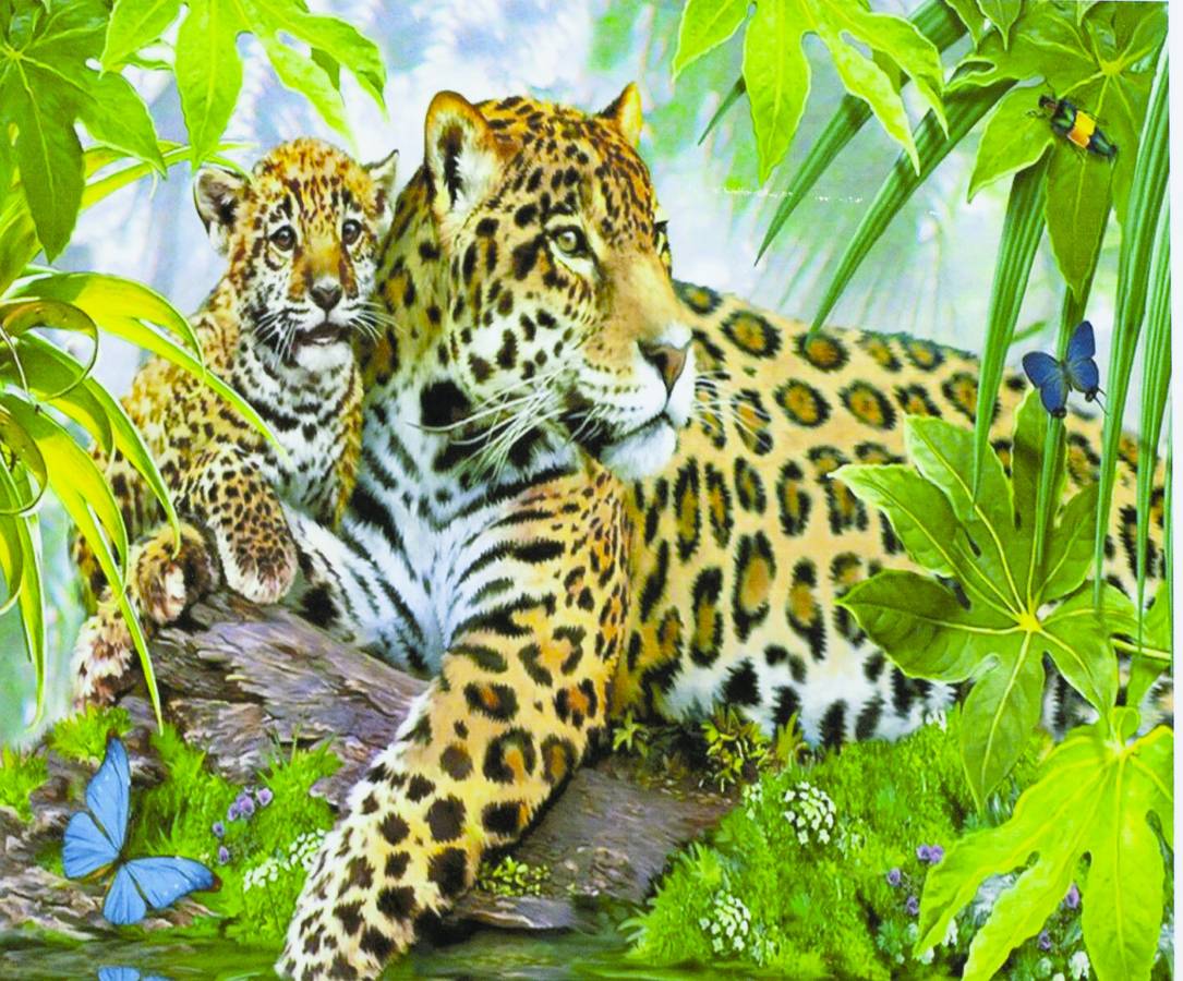 Картина по номерам "Леопарды-С любимой мамочкой" 40*50см,крас.-акрил,к (3406)