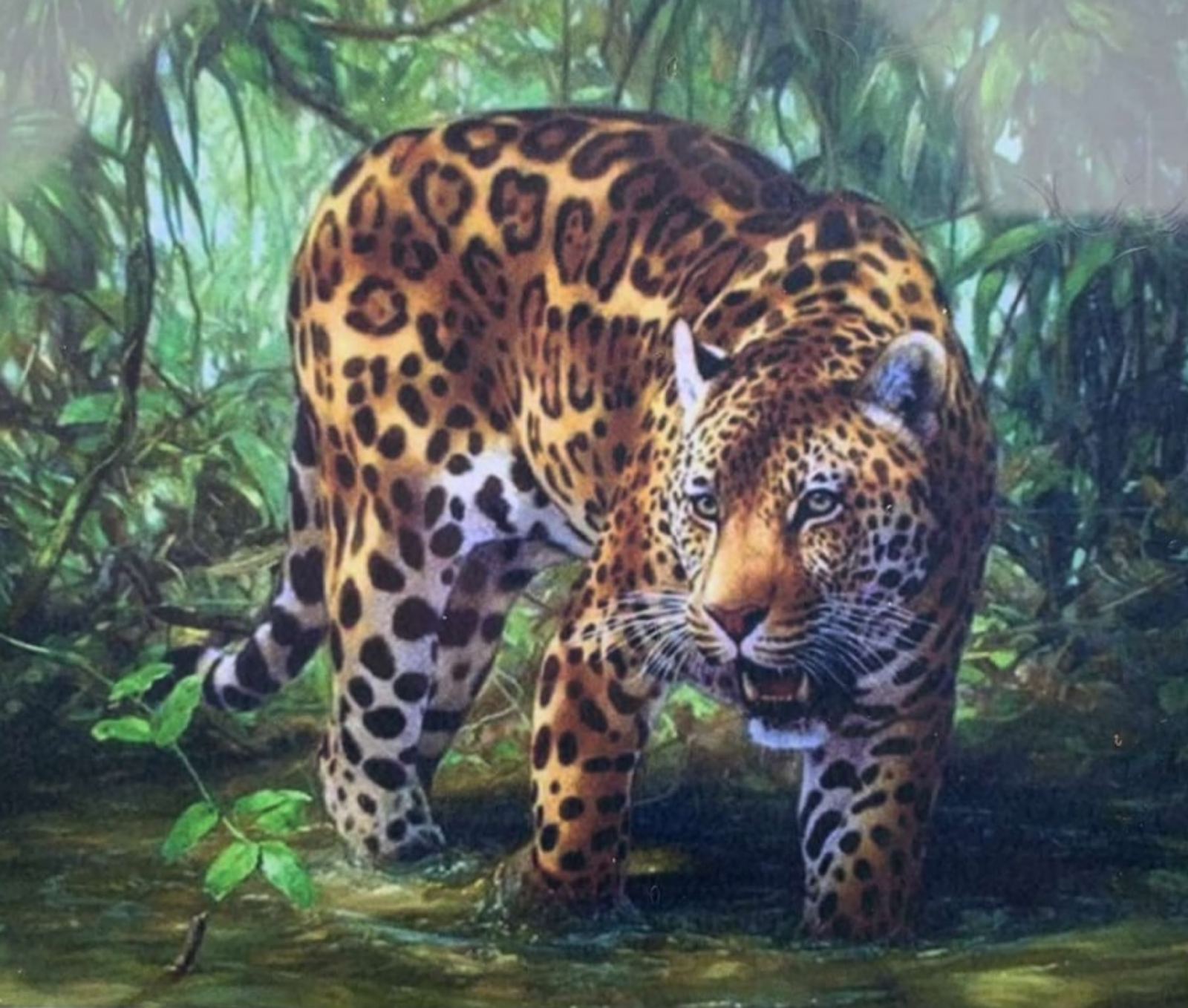 Картина по номерам 30*40см "Ягуар" OPP (холст на раме краск. кисти. ) (1816EKTL_O)