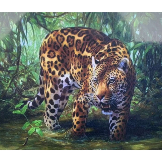 Картина по номерам 30*40см "Ягуар" OPP (холст на раме краск. кисти. ) (1816EKTL_O)