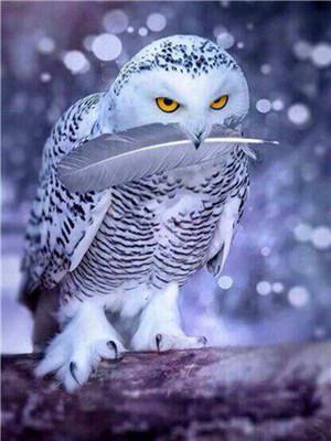 Картина по номерам "Полярная сова" 40*50см,крас.-акрил,кисть-3шт. (RA3835)