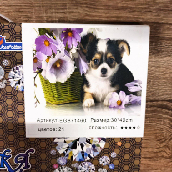 Алмазная мозаика по номерам  30*40см "Щенок"  карт уп. (холст на раме) (71460GB)