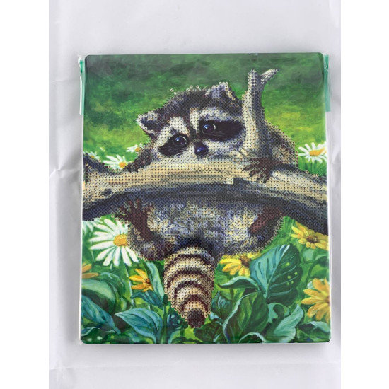 Алмазная мозаика 21 х 25см "Енот" Разноцветный Без бренда (D21270)