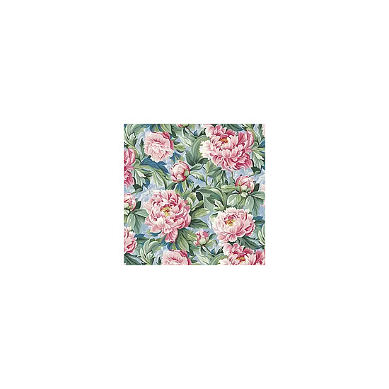 Бумага  для упаковки подарков 10 листов - 100 х 70 см 50г (PCZ10070-10-572)