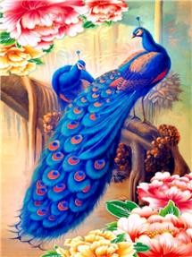 Картина по номерам "Жарптица" 40*50см,крас.-акрил,кисть-3шт. (8103)