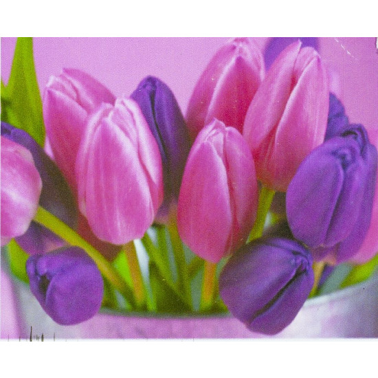 Алмазна мозаїка за номерами 30*40см "Яскраві тюльпани" у рулоні (70041 GB)