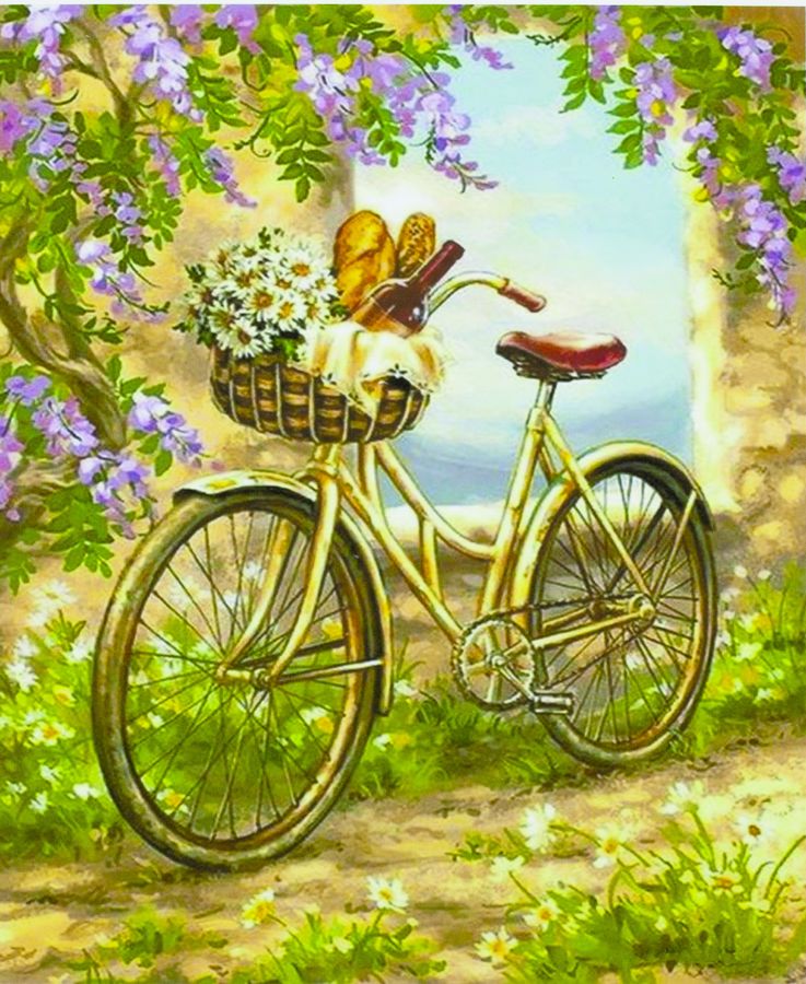 Картина по номерам "Велосипед в цветах" 40*50см,крас.-акрил,кисть-3шт (9354)