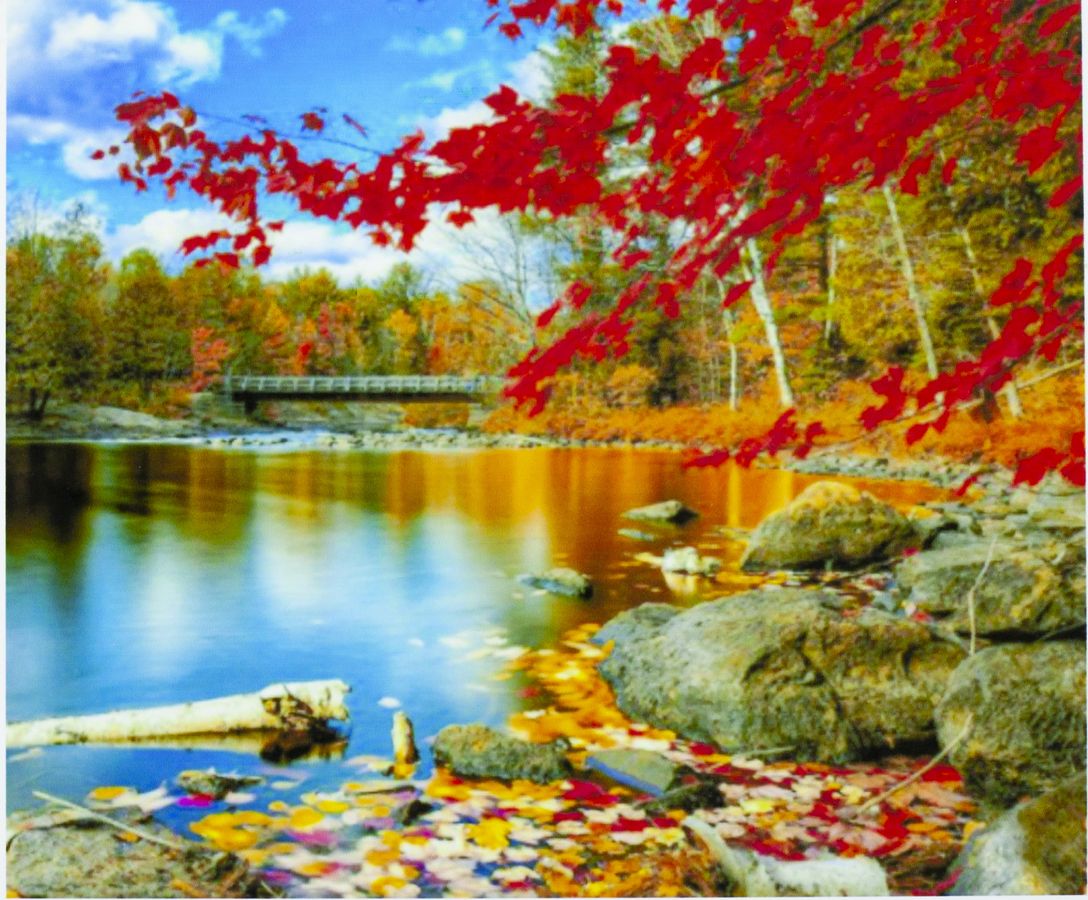 Картина по номерам "Озеро в лесу" 40*50см,крас.-акрил,кисть-3шт. (9369)