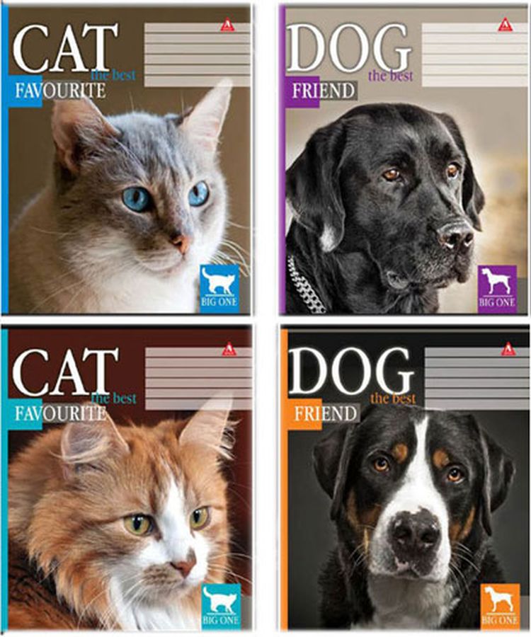 Зошит 36 аркуша в лінію (Тр 006а)