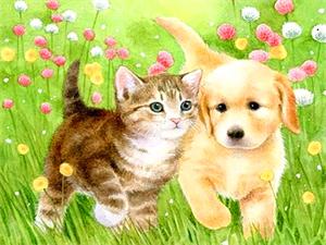 Картина за номерами "Песик та кошеня" 40 * 50см, крас.-акрил, кисть-3шт. (RA30359)