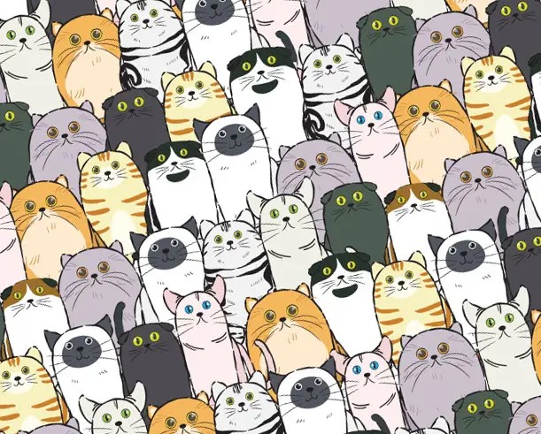 Папір для пакування подарунків 10 листів - 100 х 70см 50г (PCZ10070-10-616)