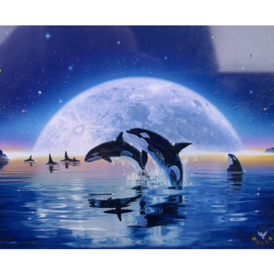 Картина за номерами 30*40см "Косатки" OPP (полотно на рамі фарб. пензля.) (1263EKTL_O)