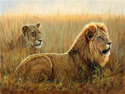 Картина за номерами "Пара левів"40 * 50см, крас.-акрил, кисть-3шт. (RA3817)