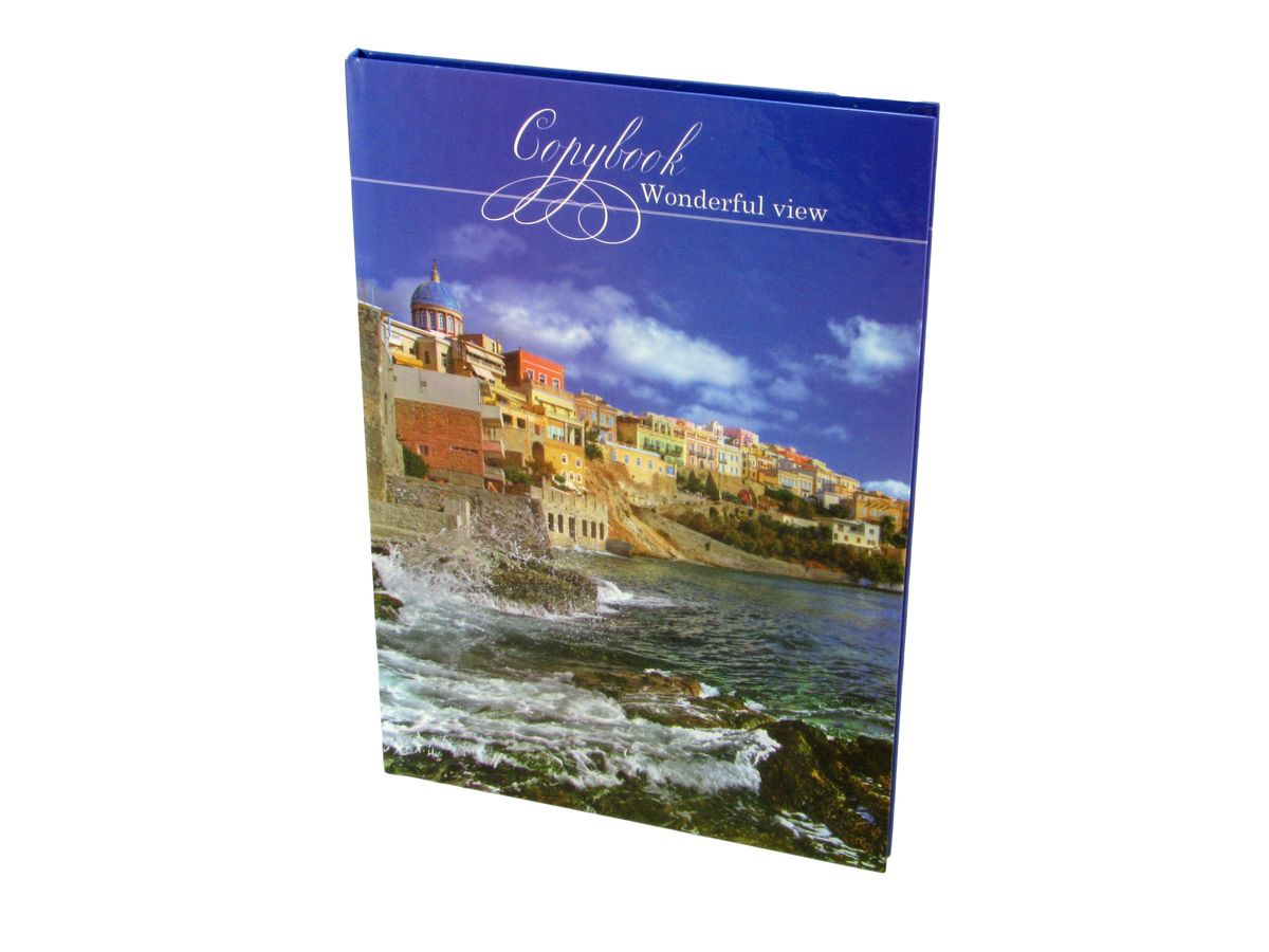 Блокнот амбарна книга А4, клітинка, картон - тверда палітурка, 96 аркушів - 20,5x27,5см Unison (ЗО-96ТП)