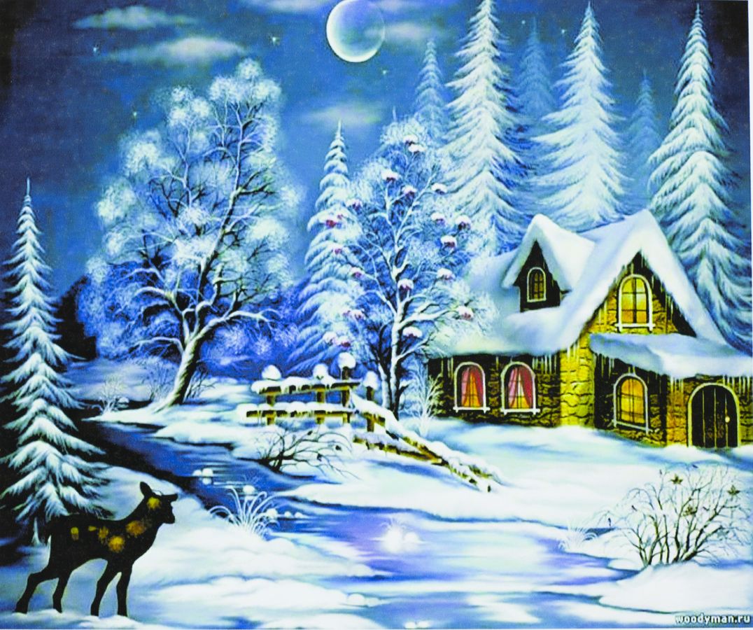 Картина за номерами "Зимовий вечір у селі" 40 * 50см, крас.-акрил, кисть-3шт. (5201)