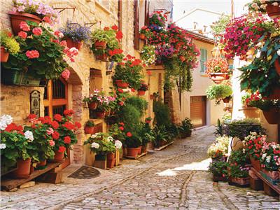 Картина за номерами "Квітуча вулиця" 40 * 50см, крас.-акрил, кисть-3шт. (RA3678)