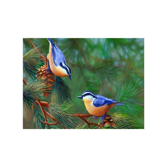 Картина за номерами 40 х 50см "Пара пташок" Різнокольоровий Unison (RA3804)