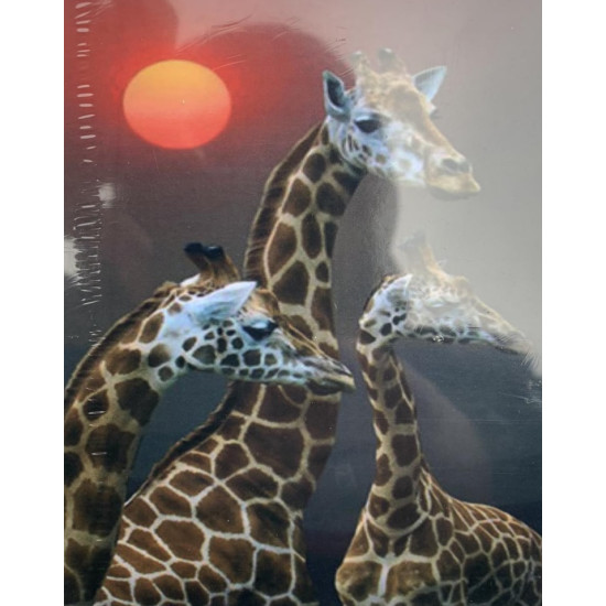 Картина за номерами "Жирафи" 40 * 50см, OPP, крас.-акрил, кисть-3шт. (1 * 5) (5700Y_O)