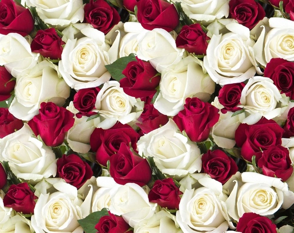 Бумага упаковочная мелованная 80г 10 листов - 100 х 70см Разноцветный Unison (PVM10-302)