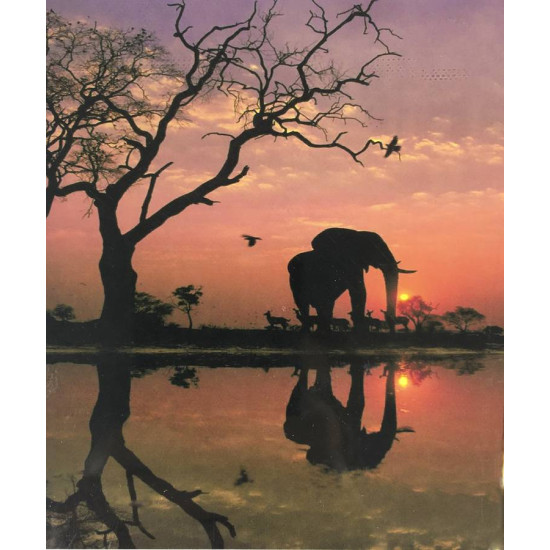 Холст-розмальовка під номерами 40*50см з набором фарб і пензликами 2 шт, з рамкою,  "Слон" OPP (5549_O)