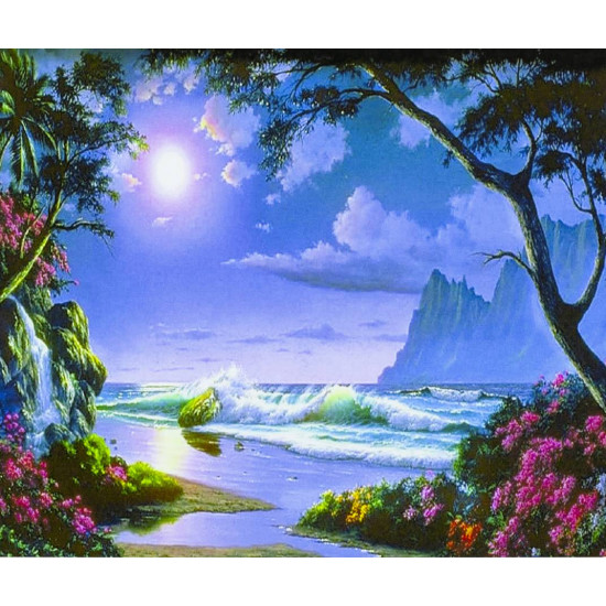 Картина по номерам "Лунный свет" 40*50см,крас.-акрил,кисть-3шт. (8464RSB_B)