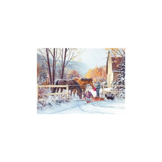 Холст-розмальовка під номерами 40*50см з набором фарб і пензликами 2 шт, з рамкою,  "Коні" (8300)