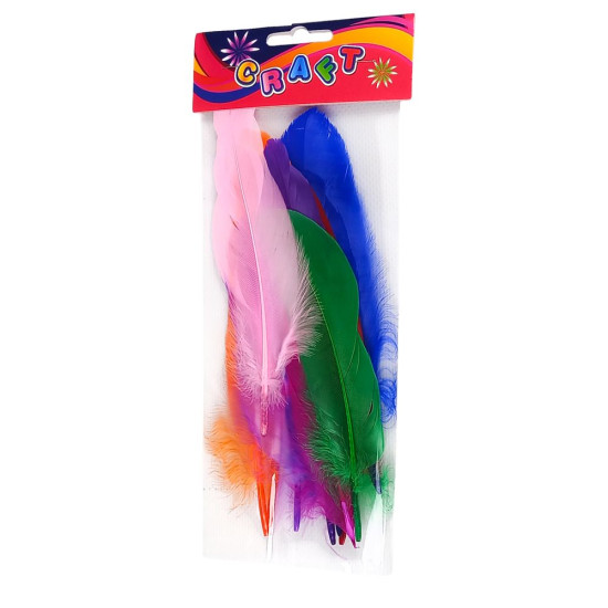 Набір  творчості  "Пір'я кольорові" 10шт, 20см (272-8)