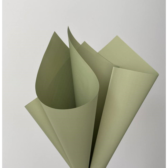 Пленка матовая "Моно" 60 мкр, 58 х 58см - 20 листов (j00334 -23)