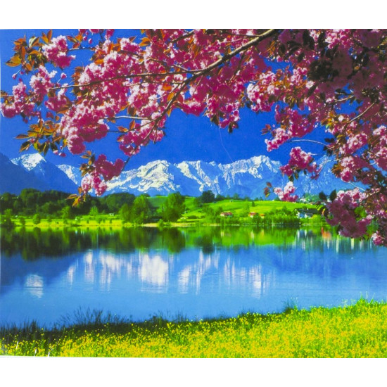 Картина за номерами 40 х 50см "Природа" OPP Різнокольоровий Unison (3307RA_О)