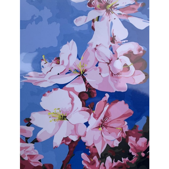 Картина за номерами "Квіти" 40 * 50см,  OPP , крас.-акрил, кисть-3шт. (5066RA_O)