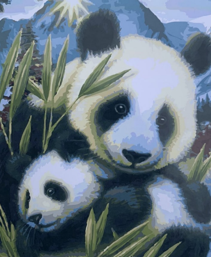 Картина за номерами "Панда" 40 * 50см, крас.-акрил, кисть-3шт. (6099OTG_B)