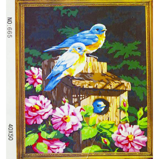 Холст-розмальовка під номерами "Птахи" 40х50см, з набором форб і пензликами 2шт, з рамкою. (665)