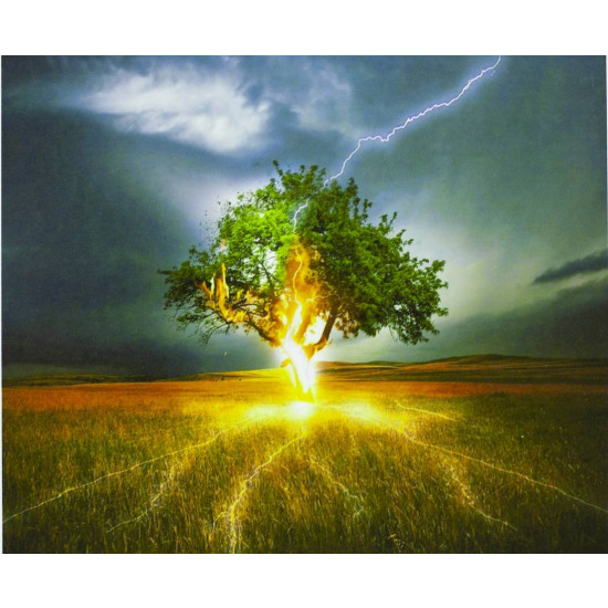 Картина за номерами "блискавка" 40 * 50см, крас.-акрил, кисть-3шт. (5350Y_B)