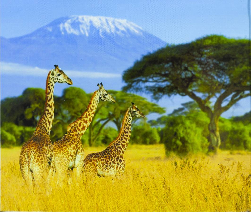 Картина за номерами "Саванна" 40 * 50см, крас.-акрил, кисть-3шт. (5320_O)