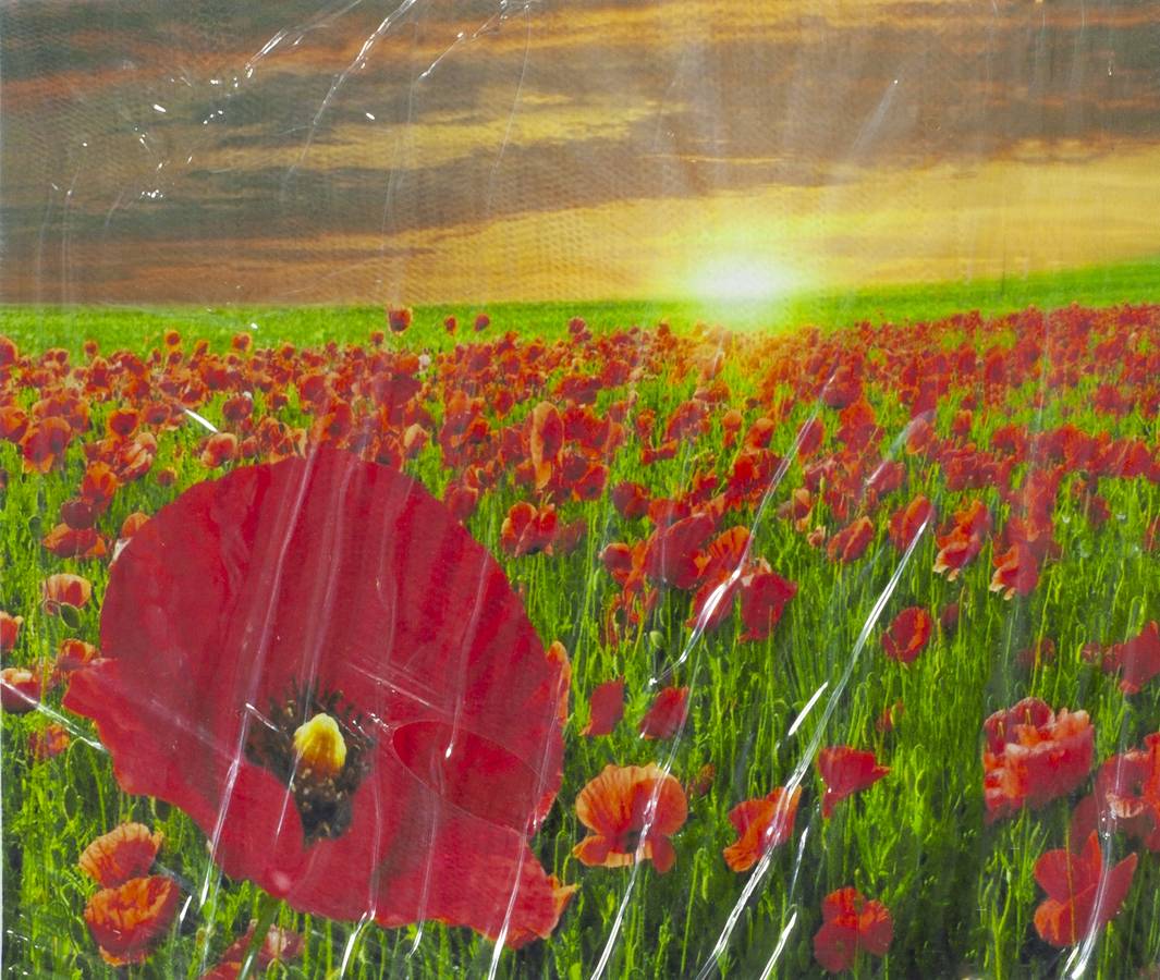 Картина за номерами "Маки" 40 * 50см, крас.-акрил, кисть-3шт. (5108_O)