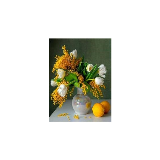 Холст-розмальовка під номерами 40*50см з набором фарб і пензликами 2 шт, з рамкою,  "Мімоза" (8281)