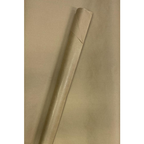 Папір пакувальний крафт-двосторонній 1000х700  -10 аркушів (Пт 10070-01)