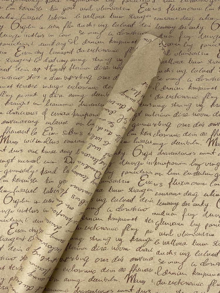 Эко - крафт, бумага подарочная, 0,6 х 6м, 80г (ECP003.2)