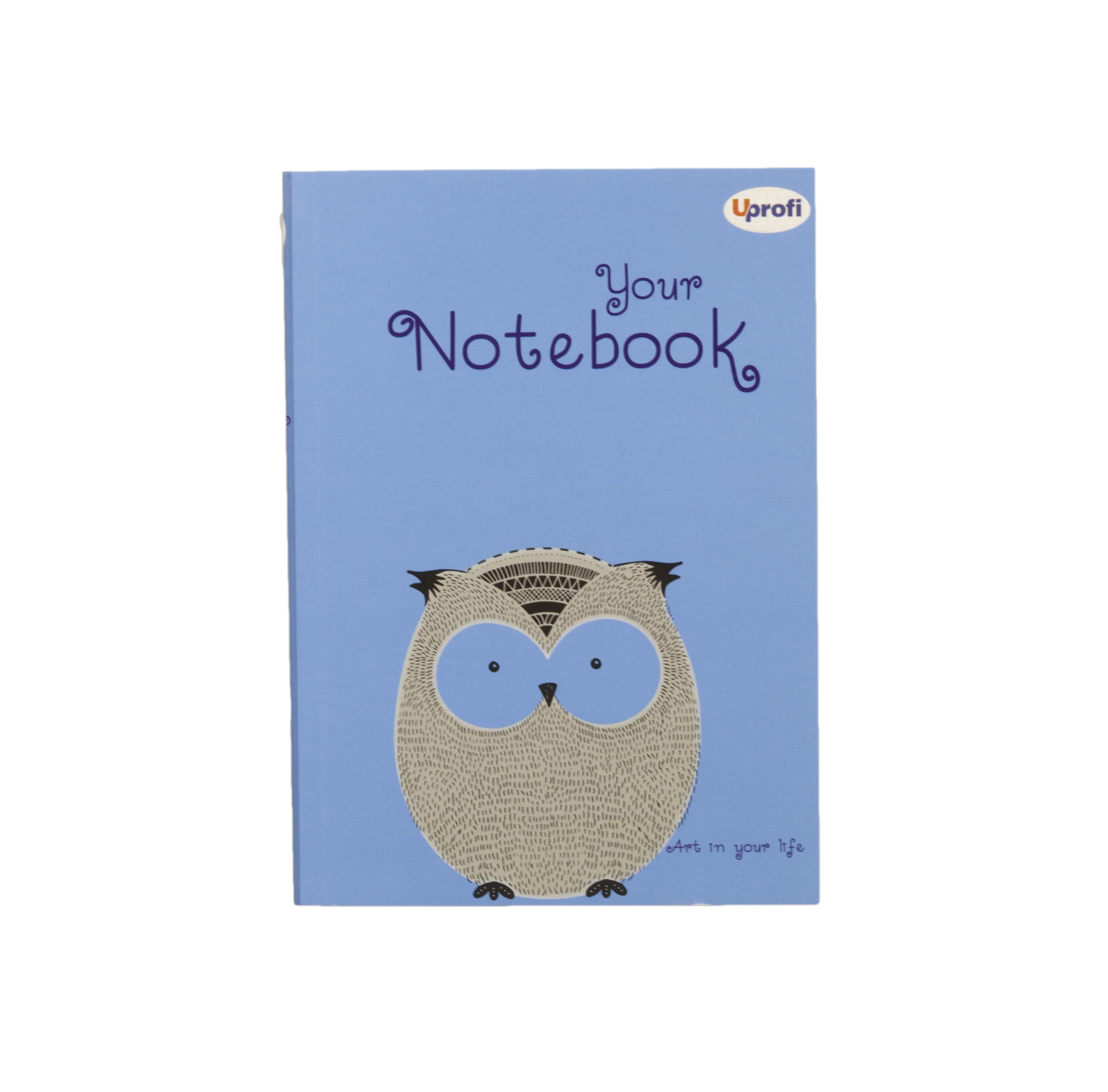 Блокнот TM Profiplan Artbook B6, blue (50285)