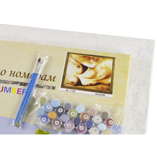 Холст-розмальовка під номерами "Тіло жінки" 40х50см, з набором форб і пензликами 2шт, з рамкою. (G1182)