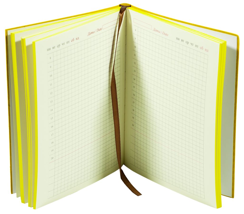 Щоденник недатований клітина "Мегаполіс" А5, м'який, фарб. торець, 160 аркушів, тиснення (6621-А5NK)