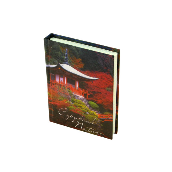 Блокнот А6-1 картон, #, (10,0х15,0), 144л., грн. (Б6 - 144)