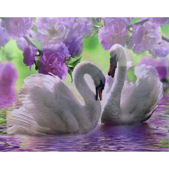 Картина по номерам 30*40см  "Лебеди" OPP (холст на раме краск. кисти. ) (1469EKTL_O)