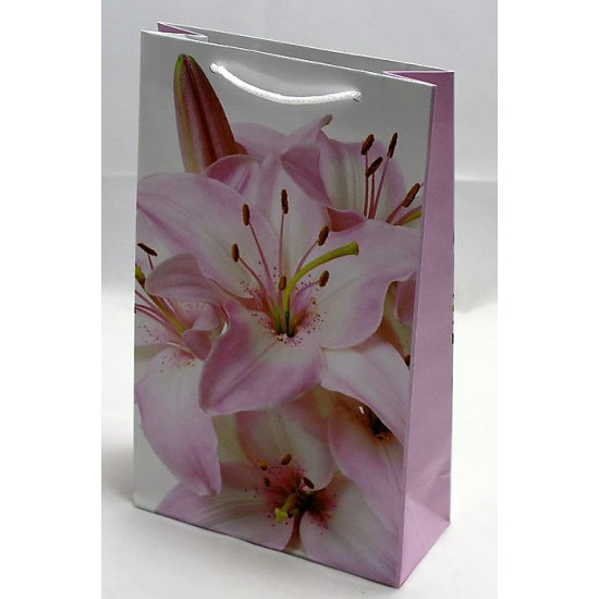 Пакет подарунковий жіноча серія 130гр, 17 х 26 х 8см (12шт/уп) Unison (PVM172608W)