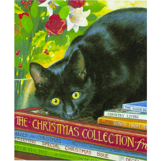 Картина за номерами "Чорний кіт" 40 * 50см, крас.-акрил, кисть-3шт. (8160)