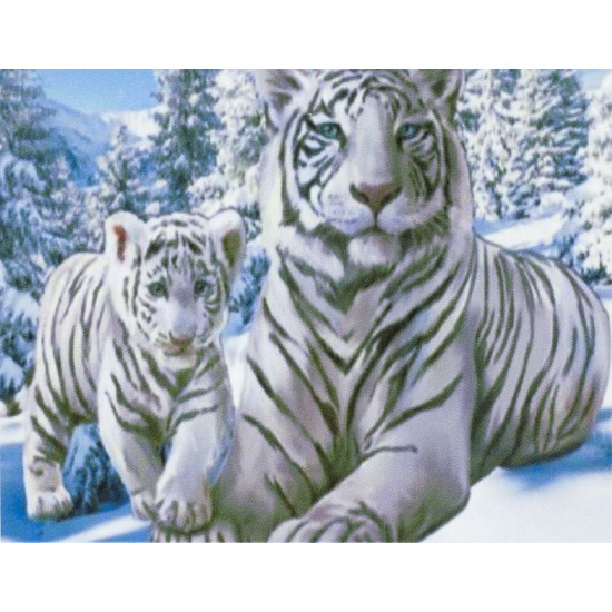 Алмазна мозаїка за номерами 20 * 30см "Білі тигри" в рулоні (20556-JS)