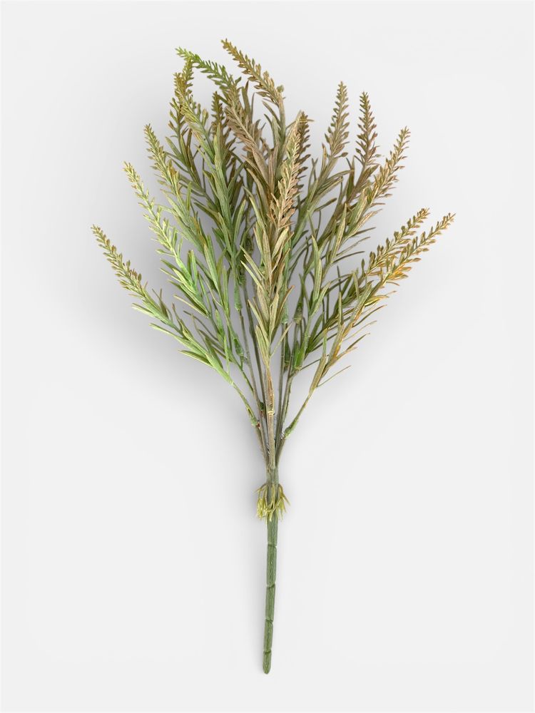 Ветка розмарина  43,5 см, коричнево-зеленая (с30551)