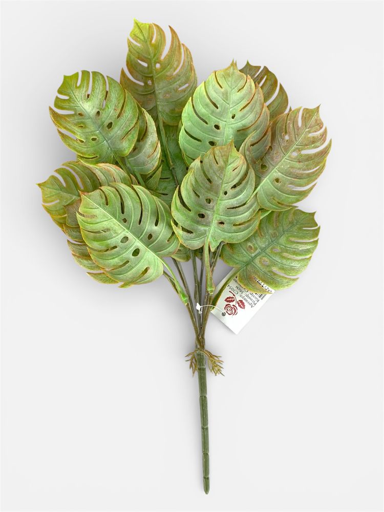 Ветка монстеры  36 см, светло-зелено-коричневая (с30547-1)