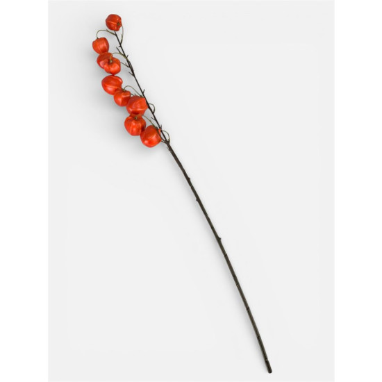 Гілка фізалісу, 76 см, червона (с30514-1)