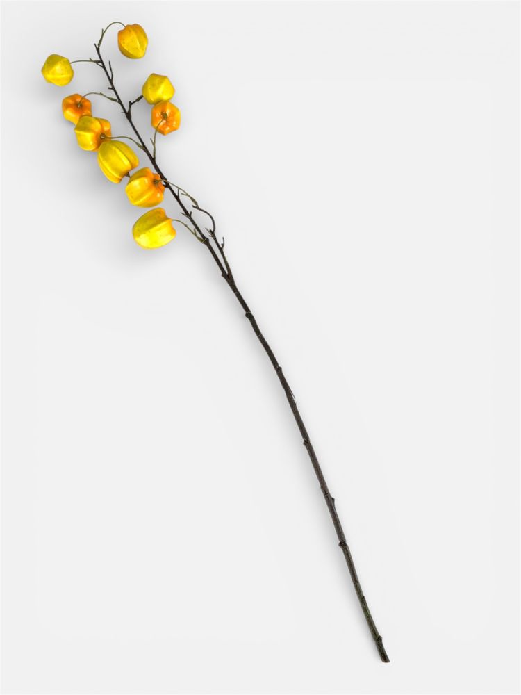 Гілка фізалісу, 76 см, жовто-помаранчева (с30514)