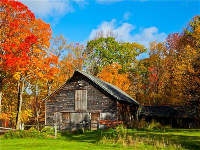 Картина за номерами "Осінь"40 * 50см, крас.-акрил, кисть-3шт. (RA3793)